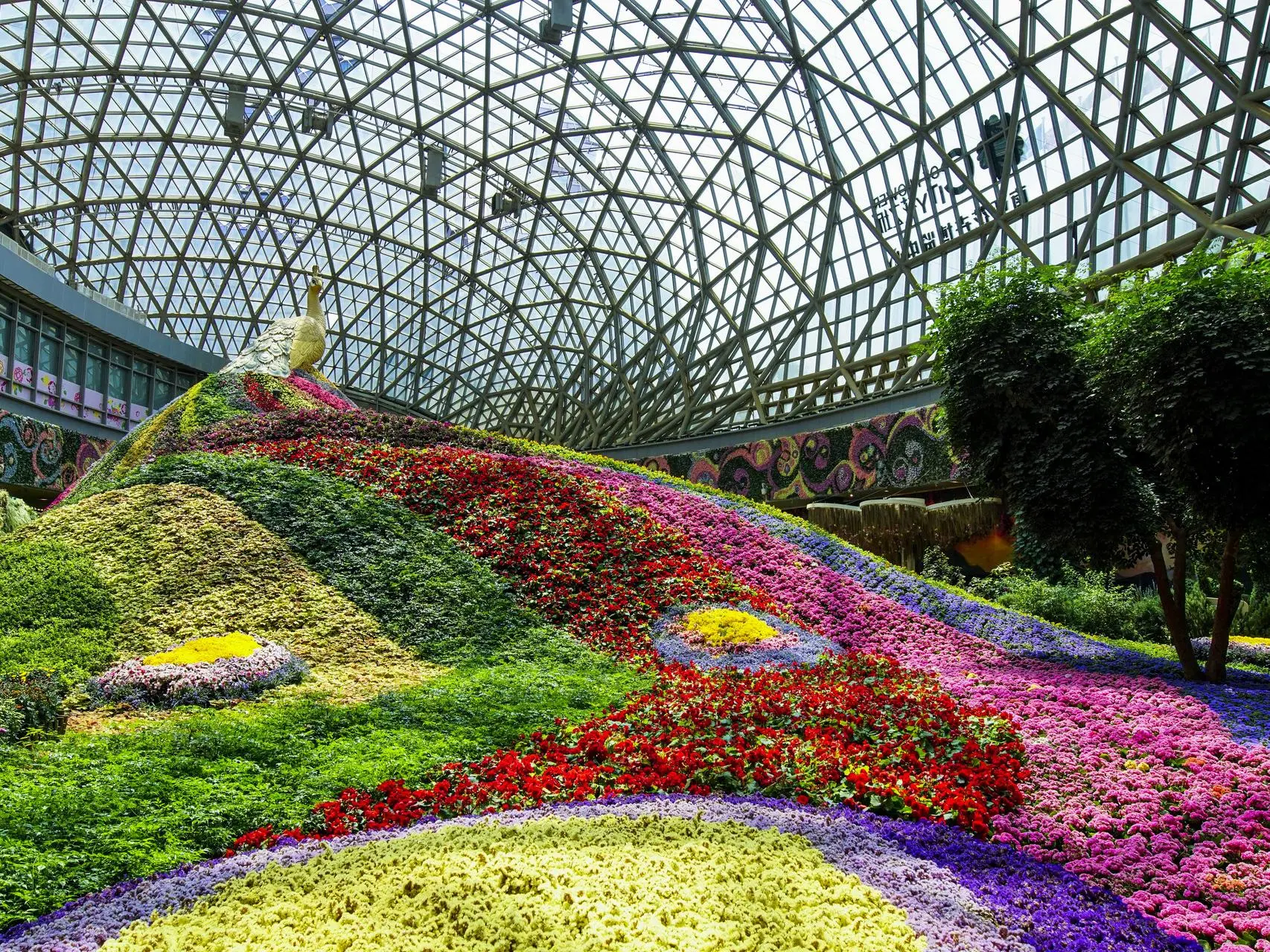 Flower greenhouse thermostatic solutions