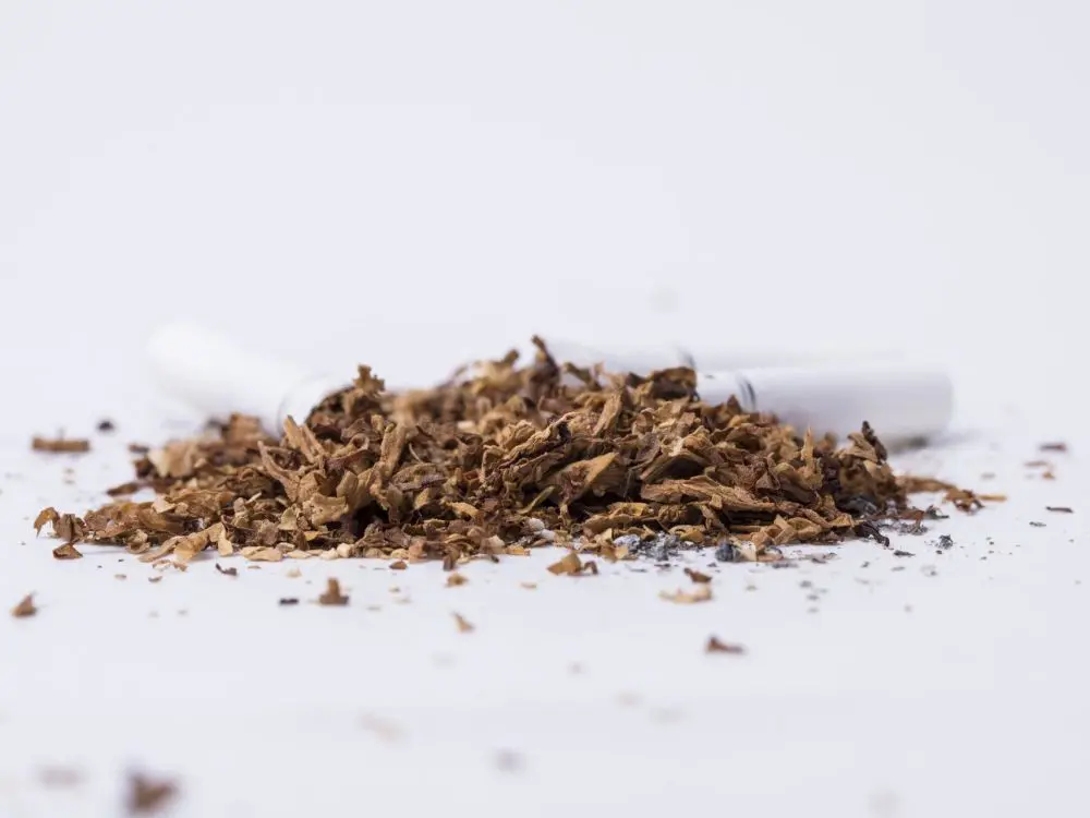 Tobacco drying solutions