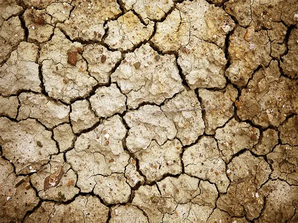 Sludge Drying Solutions